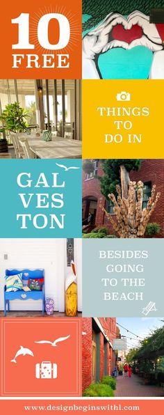 the cover of 10 free things to do in gal vies ton, including an image of