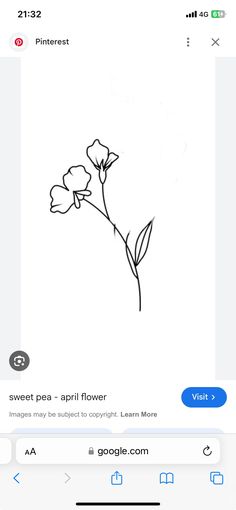 an image of flowers on the app for people to draw with their own pencils