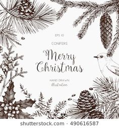 christmas greeting card with pine cones and fir