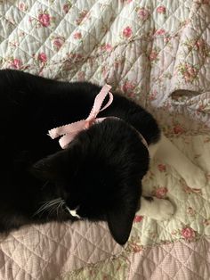 a black cat laying on top of a bed next to a pink ribbon tied around it's neck