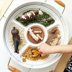 a child's hand reaching for food on a plate that includes vegetables, meats and beans