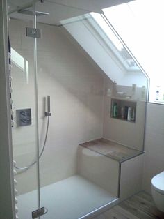 a bathroom with a skylight above the shower