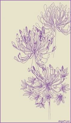 two purple flowers on a white background