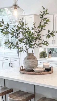 a kitchen island with stools and a potted plant on it