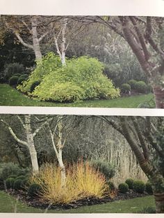 two pictures of trees and bushes in the grass