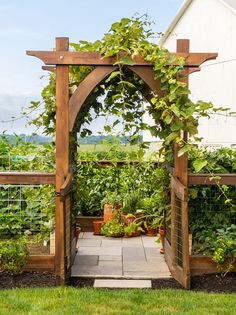 an outdoor garden with lots of greenery and a trellis on the side of it