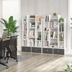 an office with a desk, bookcases and plants in the corner is shown