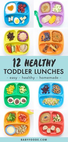 twelve healthy toddler lunches that are easy to make