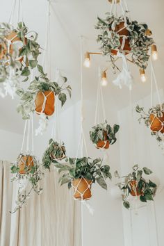 hanging planters made out of oranges and greenery in a room with white walls