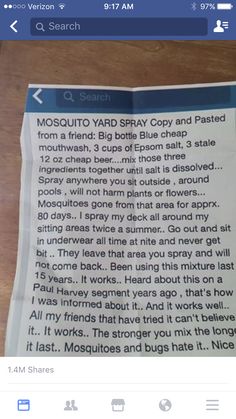 Mosquito Yard Spray, Cheap Beer, Big Bottle, Three Ingredient, Mouthwash, Household Hacks, Spray, Beer