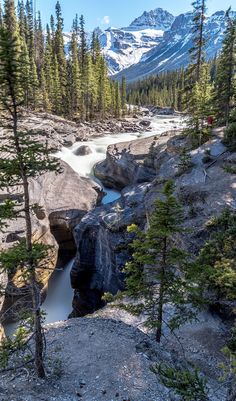 a river flowing through a rocky valley surrounded by trees and mountains with snow capped peaks in the distance