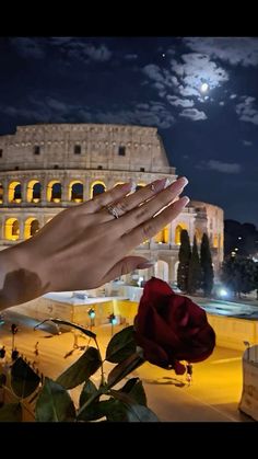 a person's hand reaching for a rose in front of the colossion