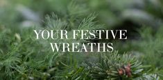 the words, your festive wreaths are surrounded by pine needles