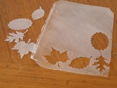 a piece of clear plastic sitting on top of a wooden table next to leaves and flowers