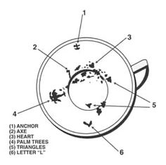 an image of a diagram showing the parts of a tree and how they are labeled