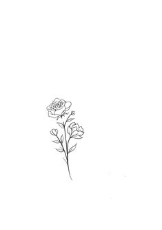 a black and white drawing of two flowers on a white background with one flower in the foreground