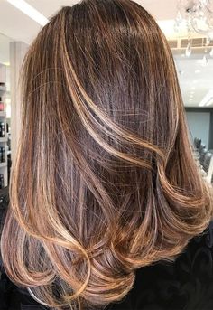 Golden Highlights Brown Hair, Chestnut Highlights, Golden Hair Color, Chestnut Brown Hair, Rambut Brunette, Balayage Blond, Chestnut Hair, Dark Brunette Hair, Chestnut Hair Color