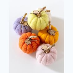 several small pumpkins are arranged on a white surface