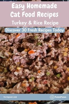 a close up of a plate of food with the words easy homemade cat food recipes turkey and rice recipe