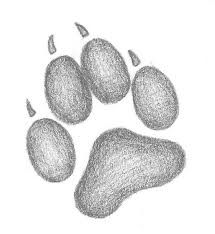 an animal's paw is shown in this drawing