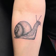 a small snail tattoo on the arm