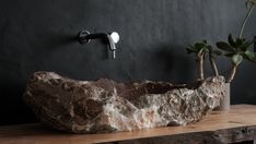 a stone sink sitting on top of a wooden table next to a potted plant