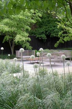 several wooden benches sitting in the middle of a lush green park with lots of tall grass