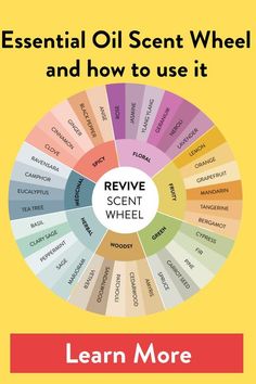 Using Essential Oils as Perfumes - learn everything about it Scent Wheel, Essential Oil Perfumes Recipes, Essential Oil Diffuser Blends Recipes, Essential Oils Guide, Essential Oils Herbs, Essential Oils Health, Essential Oil Blends Recipes, Essential Oil Mixes, Using Essential Oils