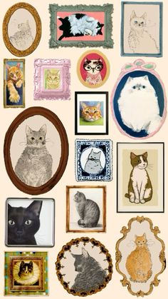 an assortment of framed pictures with cats on them