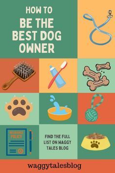 how to be the best dog owner find the full list on maggy tales blog