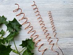 some ivys are growing on the side of a white wooden table with copper wire