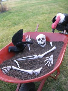 there are skeletons and birds in the wheelbarrow