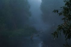 foggy river with trees in the foreground and water flowing down it's sides