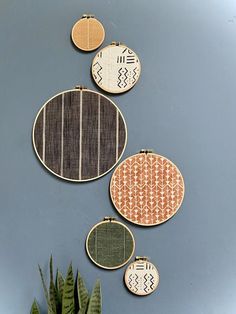 four embroidered wall hangings on a blue wall next to a green potted plant