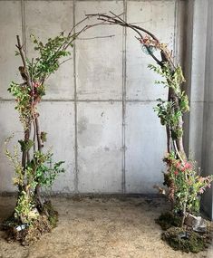 an arch made out of branches with flowers and plants growing on it in front of a concrete wall