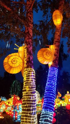 many lights are lit up around the trees