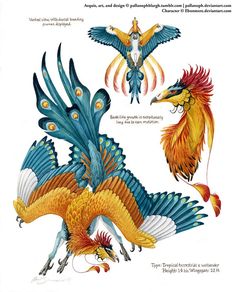 an image of birds with different colors and designs on it's back side, including two