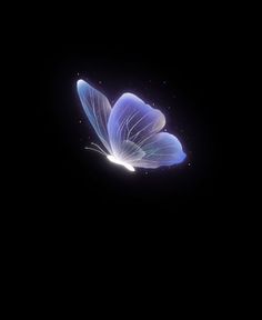 a blue butterfly flying through the dark sky