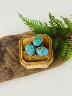 three turquoise stones sitting in a basket on top of a piece of wood next to ferns