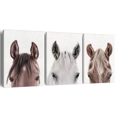 three canvases with horses on them in different colors and sizes, one is white the other is brown