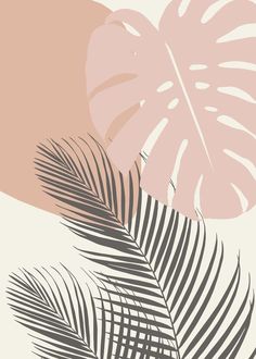 a palm leaf on a beige and pink background