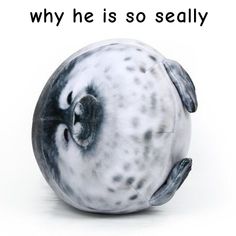 a black and white ball with the words why he is so sealy