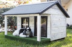 two black and white dogs sitting in their dog house on the front lawn with grass