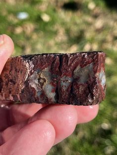 a hand holding a piece of rock in it's left hand with grass in the background