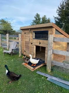 two ducks are standing in the grass next to a chicken coop that is made out of wood