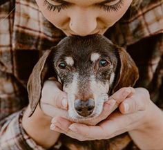 a woman holding a dog in her hands with eyes wide open and long eyelashes on it's face