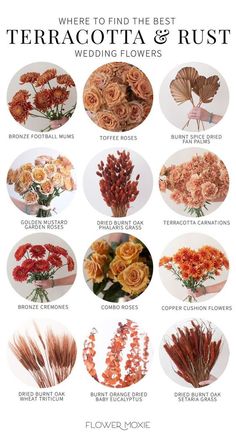 an image of flowers that are in different colors and sizes, with the words terracotta & rust on it