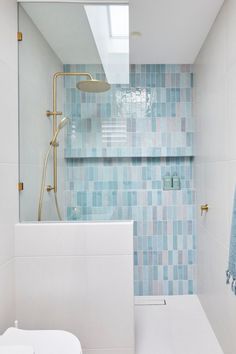 a white toilet sitting next to a bath tub under a skylight in a bathroom