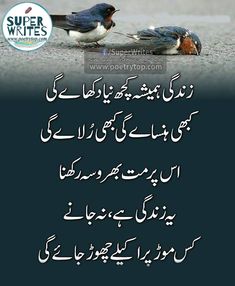 two birds sitting on the ground next to each other with words in english and arabic