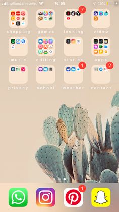 an image of a cactus plant with many different icons on the screen and in the background